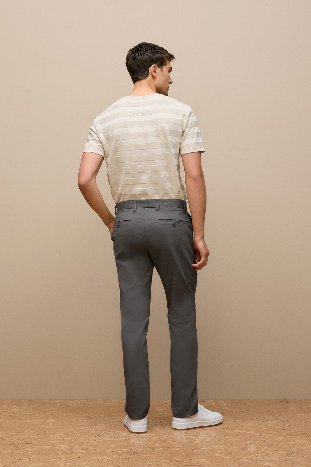 Regular Fit Chino Pant