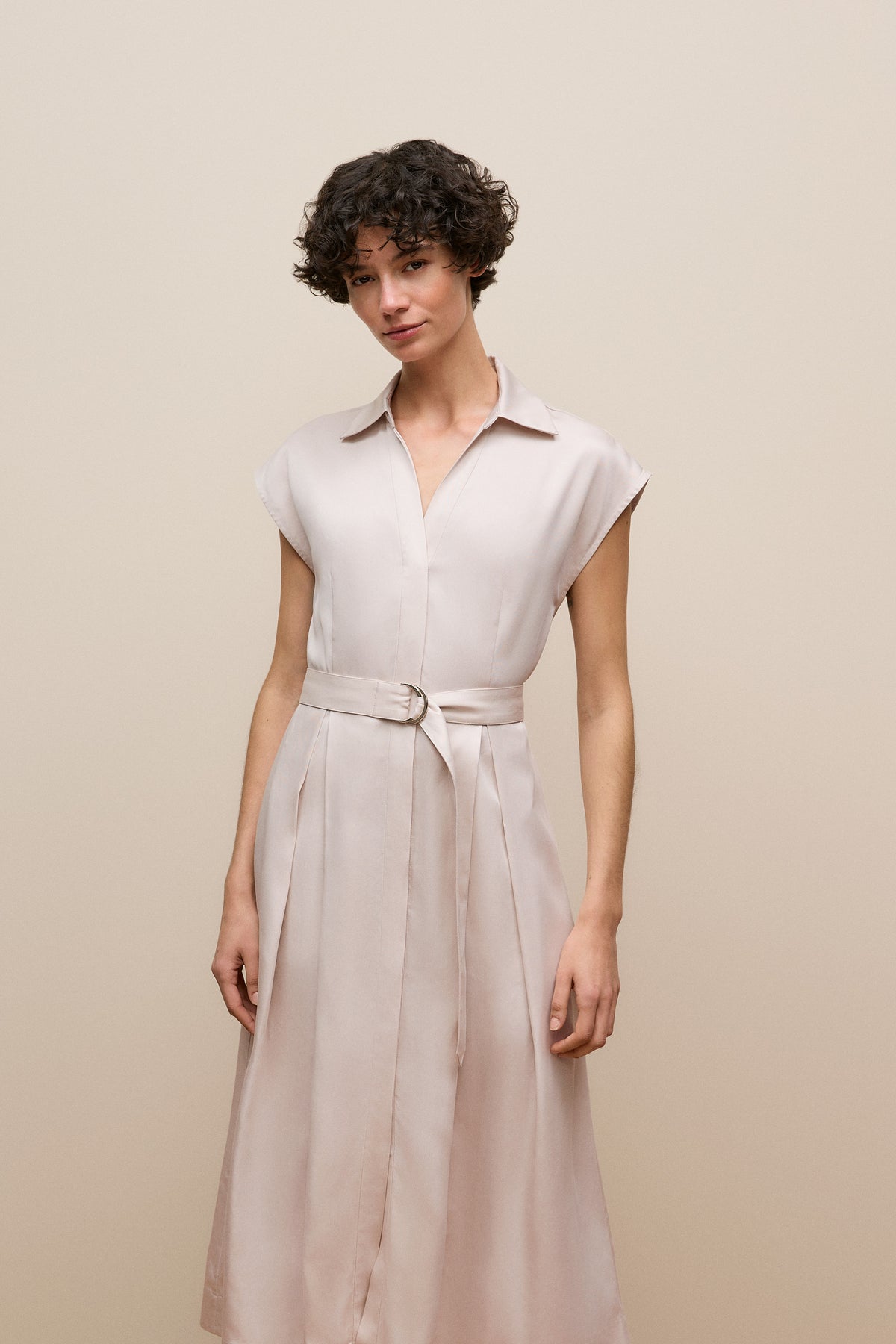 Soft Pleat Belted Dress