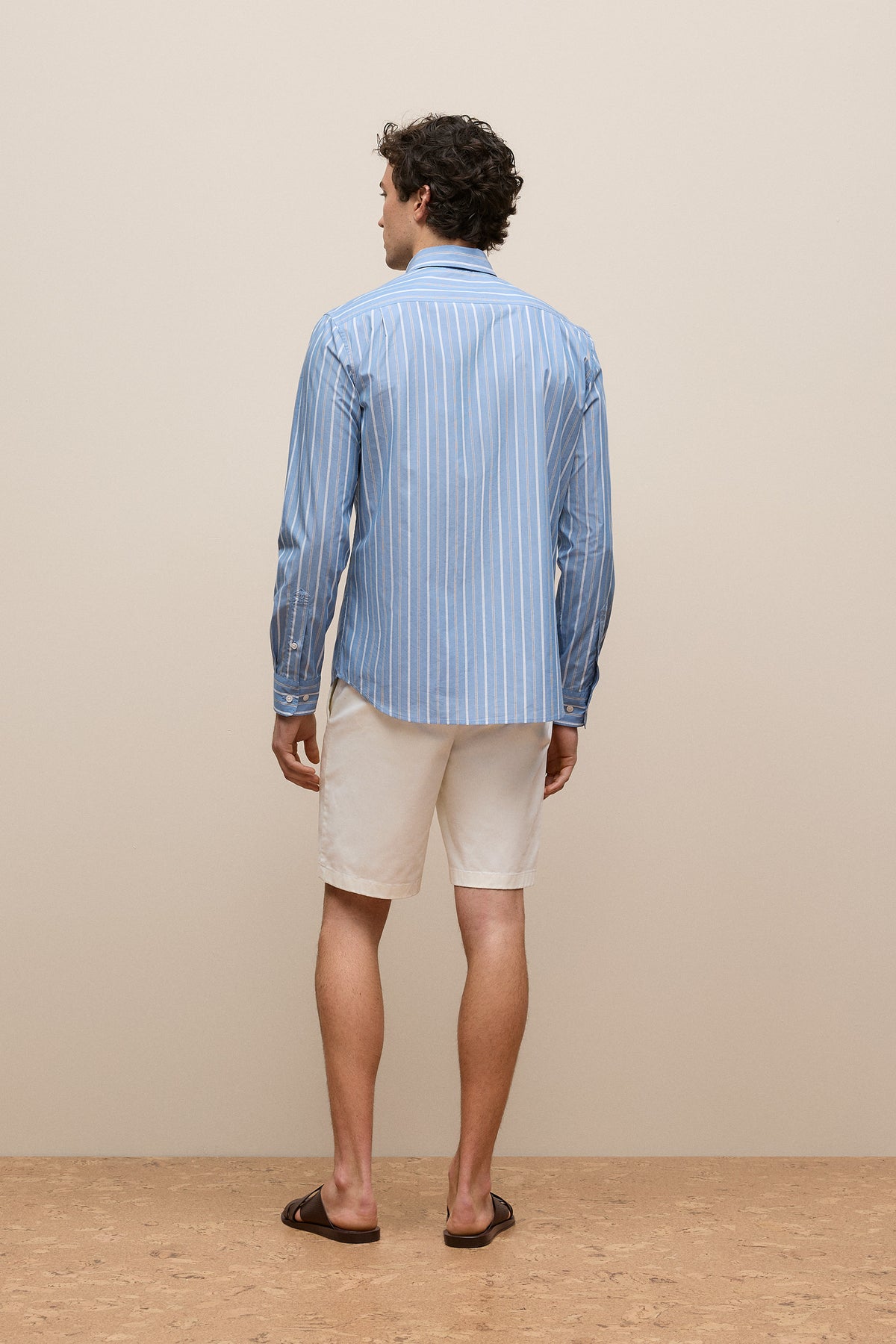 Regular Fit Poplin Stripe Long Sleeve Shirt