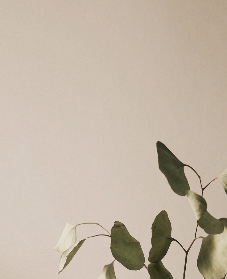 trenery about mobile header